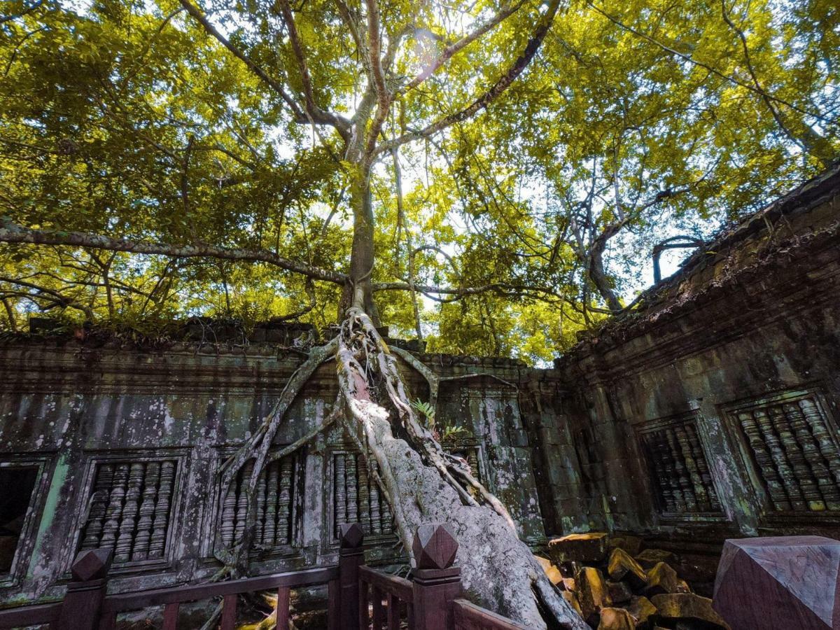 Anachak Angkor Residence Сиемрип Экстерьер фото